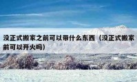 沒正式搬家之前可以帶什么東西（沒正式搬家前可以開火嗎）