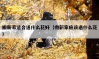 搬新家適合送什么花好（搬新家應該送什么花）