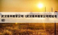 武漢易豐搬家公司（武漢易豐搬家公司地址電話）