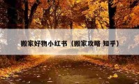 搬家好物小紅書(shū)（搬家攻略 知乎）