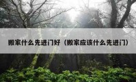 搬家什么先進門好（搬家應(yīng)該什么先進門）