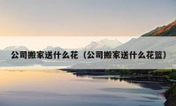 公司搬家送什么花（公司搬家送什么花籃）