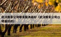 武漢搬家公司哪家服務(wù)最好（武漢搬家公司口碑最好的）