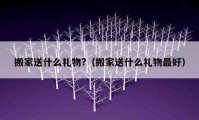 搬家送什么禮物?（搬家送什么禮物最好）