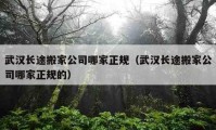 武漢長(zhǎng)途搬家公司哪家正規(guī)（武漢長(zhǎng)途搬家公司哪家正規(guī)的）