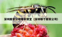 深圳搬家公司哪家便宜（深圳哪個(gè)搬家公司）