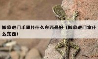 搬家進門手里拎什么東西最好（搬家進門拿什么東西）