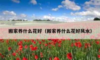 搬家養(yǎng)什么花好（搬家養(yǎng)什么花好風(fēng)水）