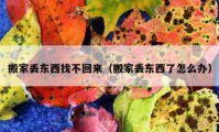 搬家丟東西找不回來（搬家丟東西了怎么辦）