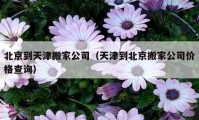 北京到天津搬家公司（天津到北京搬家公司價格查詢）