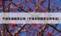 寧波東吳搬家公司（寧波市區(qū)搬家公司電話）