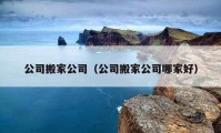 公司搬家公司（公司搬家公司哪家好）