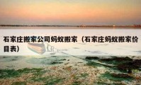 石家莊搬家公司螞蟻搬家（石家莊螞蟻搬家價目表）