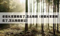 老婆從家里搬走了,怎么挽回（老婆從家里搬走了,怎么挽回老公）