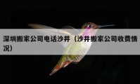 深圳搬家公司電話沙井（沙井搬家公司收費(fèi)情況）