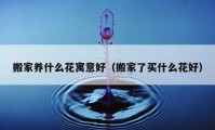 搬家養(yǎng)什么花寓意好（搬家了買什么花好）