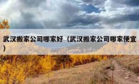 武漢搬家公司哪家好（武漢搬家公司哪家便宜）