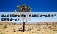 朋友搬家送什么綠植（朋友搬家送什么綠植喬遷新居送什么）