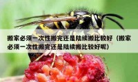 搬家必須一次性搬完還是陸續(xù)搬比較好（搬家必須一次性搬完還是陸續(xù)搬比較好呢）