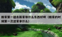 搬家第一趟去新家?guī)裁礀|西好?。ò峒业臅r候第一次進家拿什么）