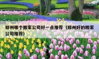 鄭州哪個搬家公司好一點(diǎn)推薦（鄭州好的搬家公司推薦）