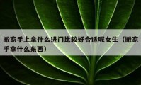 搬家手上拿什么進(jìn)門比較好合適呢女生（搬家手拿什么東西）