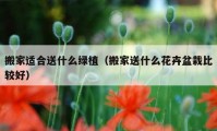 搬家適合送什么綠植（搬家送什么花卉盆栽比較好）