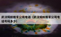 武漢螞蟻搬家公司電話（武漢螞蟻搬家公司電話號碼多少）