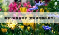 搬家公司推薦知乎（搬家公司推薦 知乎）