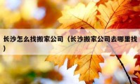 長沙怎么找搬家公司（長沙搬家公司去哪里找）