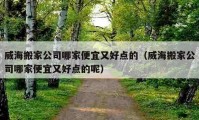 威海搬家公司哪家便宜又好點的（威海搬家公司哪家便宜又好點的呢）