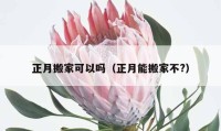 正月搬家可以嗎（正月能搬家不?）