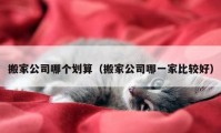 搬家公司哪個劃算（搬家公司哪一家比較好）