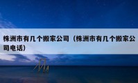 株洲市有幾個搬家公司（株洲市有幾個搬家公司電話）