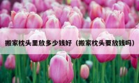 搬家枕頭里放多少錢好（搬家枕頭要放錢嗎）