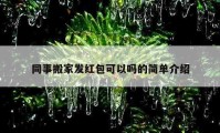 同事搬家發(fā)紅包可以嗎的簡(jiǎn)單介紹