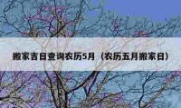 搬家吉日查詢農(nóng)歷5月（農(nóng)歷五月搬家日）