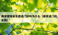 搬家規(guī)矩拿東西進(jìn)門好嗎為什么（搬家進(jìn)門的東西）