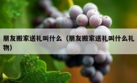 朋友搬家送禮叫什么（朋友搬家送禮叫什么禮物）