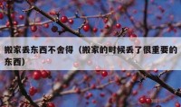 搬家丟東西不舍得（搬家的時(shí)候丟了很重要的東西）