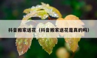 抖音搬家送花（抖音搬家送花是真的嗎）