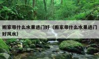 搬家?guī)裁此M門好（搬家?guī)裁此M門好風水）