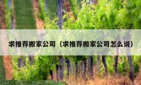 求推薦搬家公司（求推薦搬家公司怎么說）