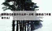 搬家進(jìn)門手里拎什么好一點呢（搬家進(jìn)門手里拿什么）