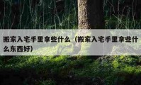 搬家入宅手里拿些什么（搬家入宅手里拿些什么東西好）