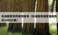 長(zhǎng)途搬家如何省錢省事（長(zhǎng)途搬家最便宜的方式1000公里）