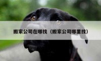 搬家公司在哪找（搬家公司哪里找）