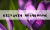 搬家公司選哪家好（搬家公司選哪家好點）