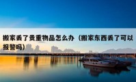 搬家丟了貴重物品怎么辦（搬家東西丟了可以報(bào)警嗎）