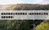 咸陽市搬家公司收費情況（咸陽市搬家公司電話都有哪些）